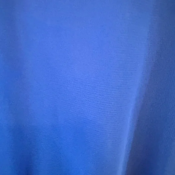 Express Royal Blue dress - Picture 4 of 4